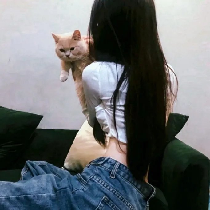 如果历史是一群喵第一季